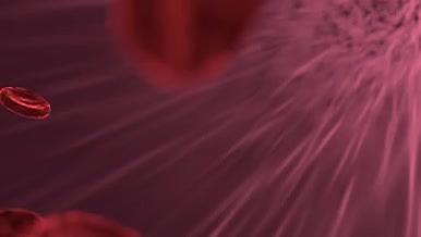 血液红细胞流动分子视频素材视频的预览图